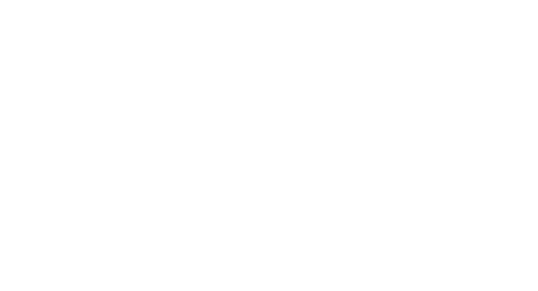 WordPress Website Designer & Developer